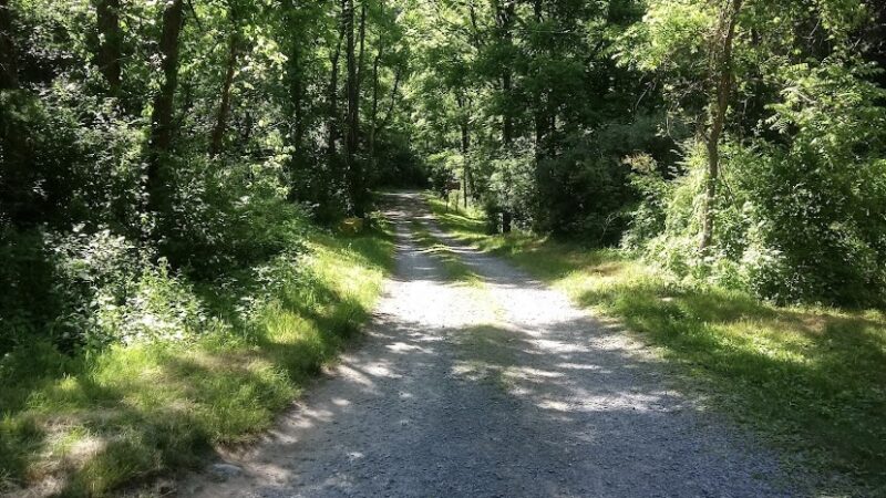 Namanock Recreation Site - Namanock Access - Boat Ramp (Hand Launch Only) - Entrance Road - Sandyston, NJ