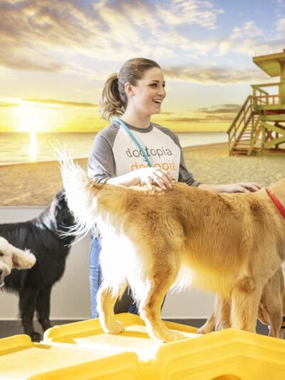 Dogtopia of Orlando - Sanford - Sanford, FL