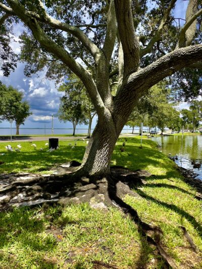 Lake Carola - Sanford, FL