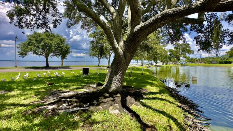 Lake Carola - Sanford, FL