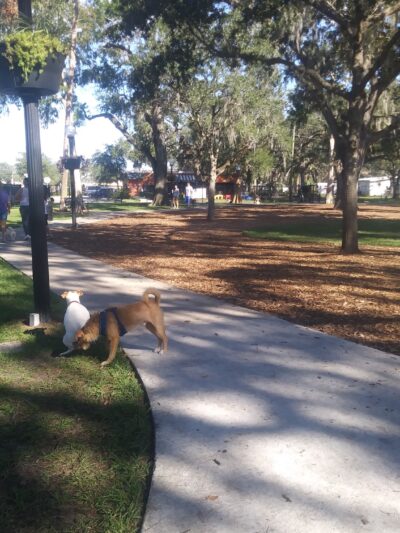 Paw Park of Historic Sanford - Sanford, FL