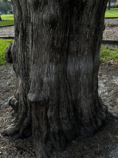 Red Barber Park - Sanford, FL