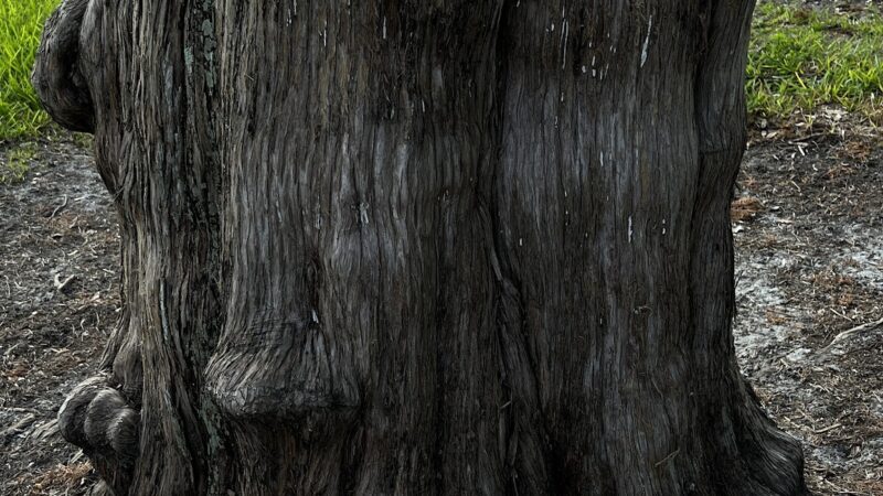 Red Barber Park - Sanford, FL