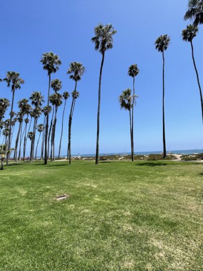 Chase Palm Park - Santa Barbara, CA