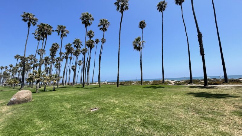 Chase Palm Park - Santa Barbara, CA