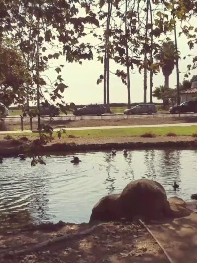 Chase Palm Park - Santa Barbara, CA