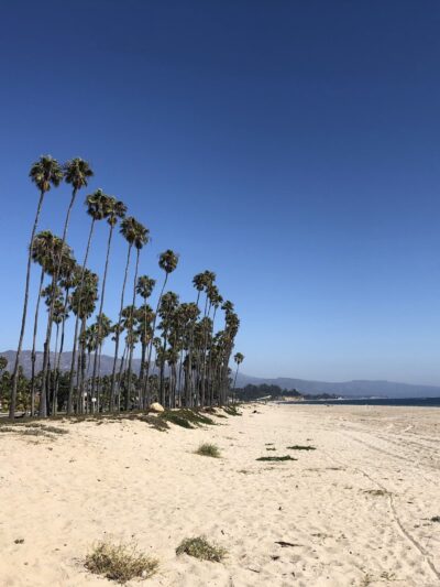 East Beach (Santa Barbara, CA) - Santa Barbara, CA