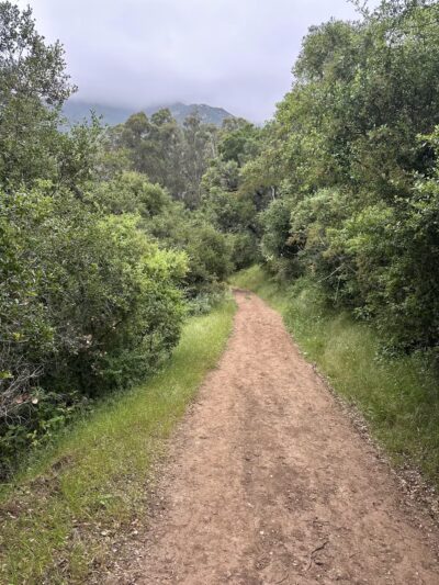 Parma Park - Santa Barbara, CA