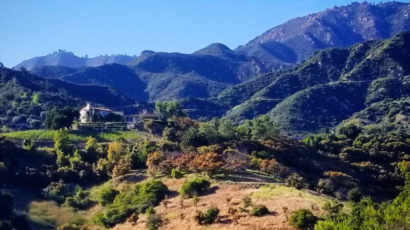 Parma Park - Santa Barbara, CA