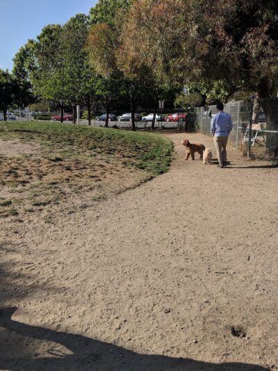 Reed Street Dog Park - Santa Clara, CA