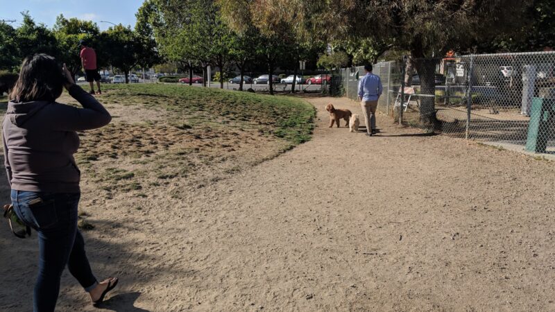 Reed Street Dog Park - Santa Clara, CA