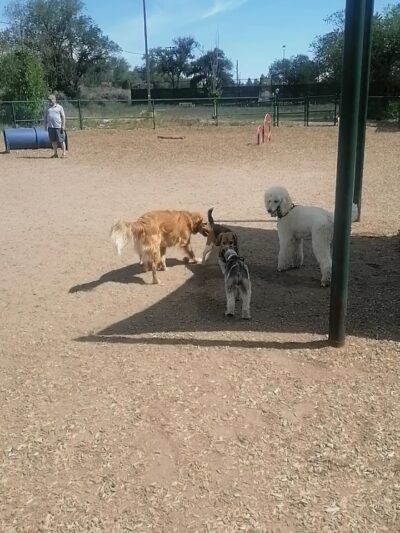 Fort Marcy Dog Park - Santa Fe, NM