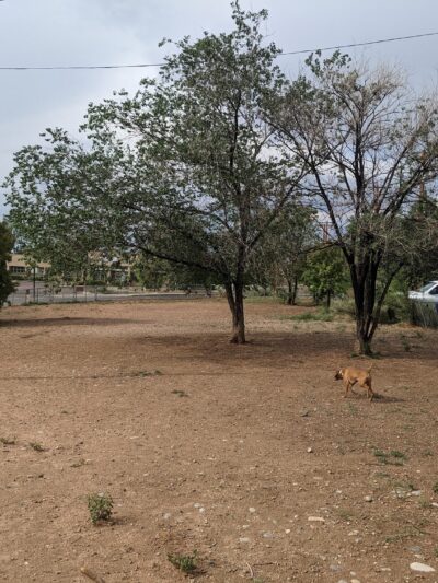 Salvador Perez Dog Park - Santa Fe, NM