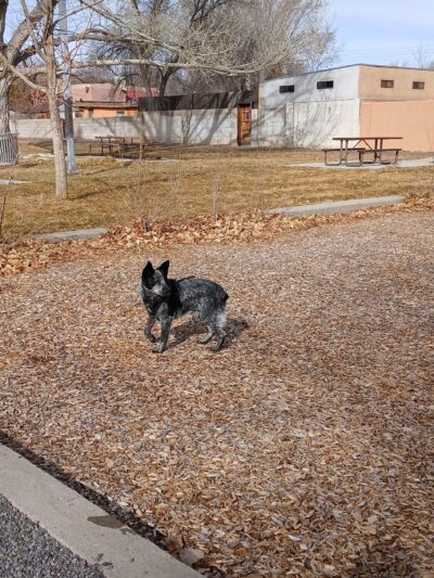Torreon Park - Santa Fe, NM