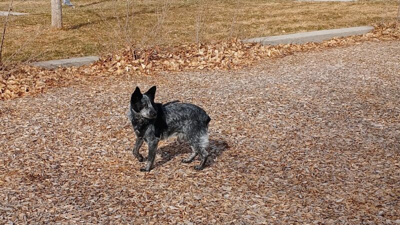 Torreon Park - Santa Fe, NM