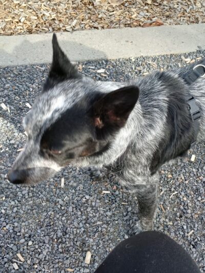 Torreon Park - Santa Fe, NM