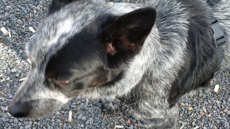 Torreon Park - Santa Fe, NM