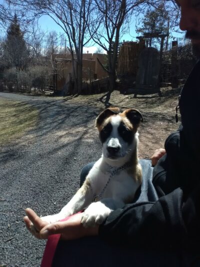 Torreon Park - Santa Fe, NM