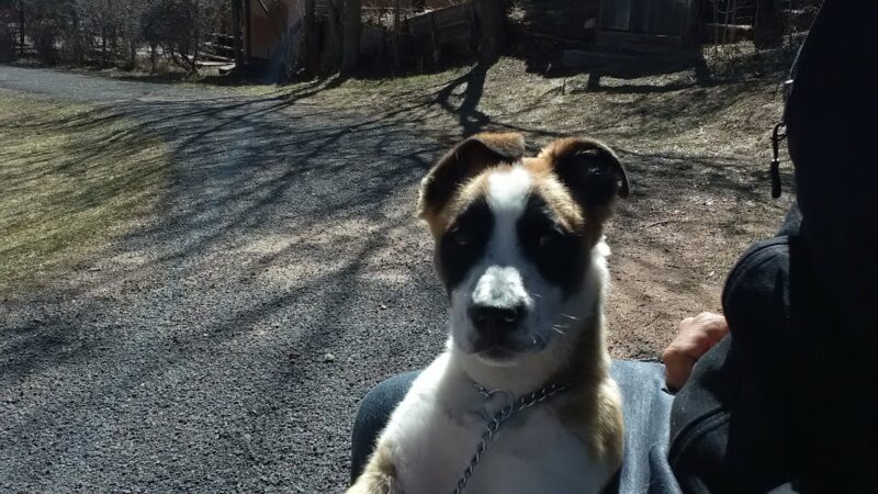 Torreon Park - Santa Fe, NM