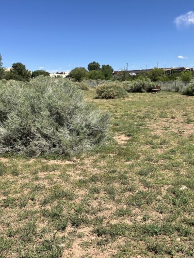 Villa Linda Dog Park - Santa Fe, NM