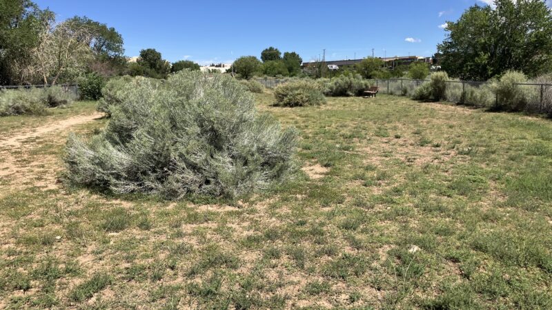Villa Linda Dog Park - Santa Fe, NM