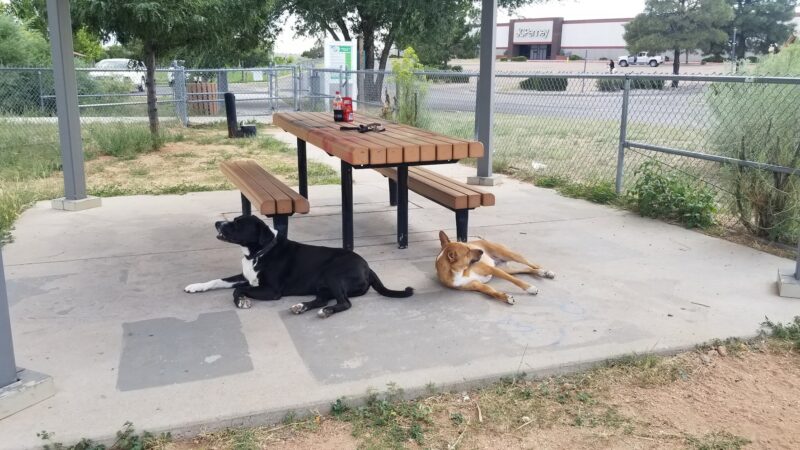 Villa Linda Dog Park - Santa Fe, NM