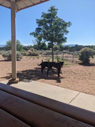 Villa Linda Dog Park - Santa Fe, NM