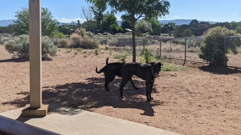 Villa Linda Dog Park - Santa Fe, NM