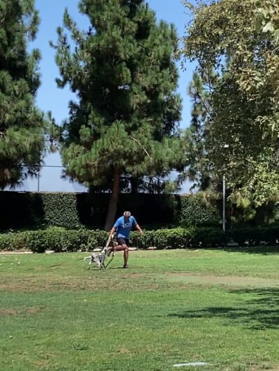 Airport Park - Santa Monica, CA