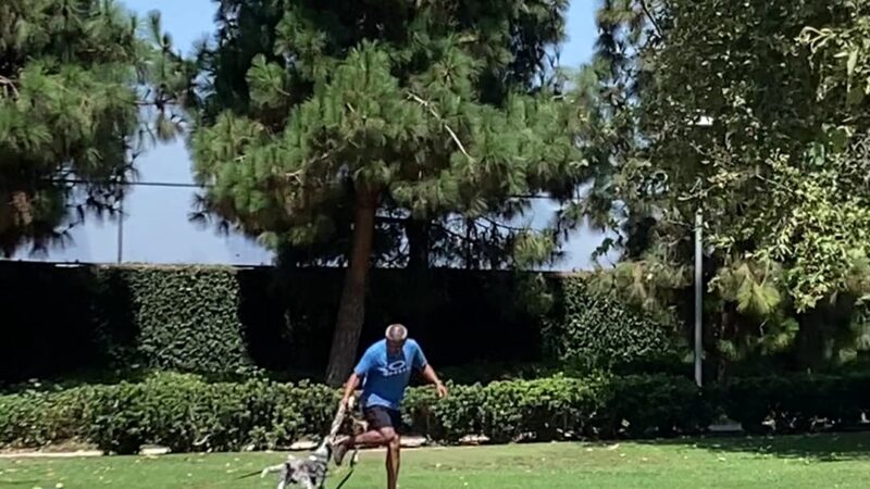 Airport Park - Santa Monica, CA