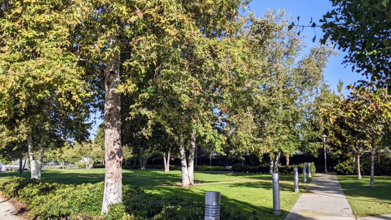 Airport Park - Santa Monica, CA