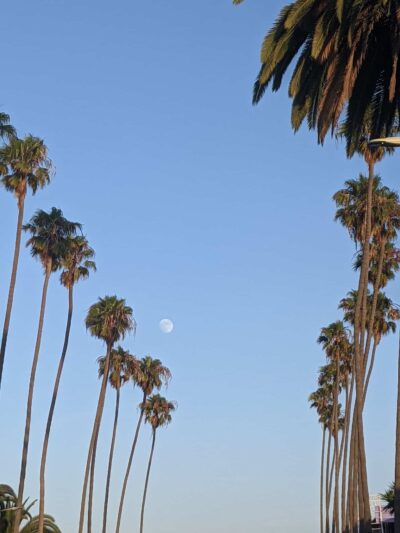 Euclid Park - Santa Monica, CA