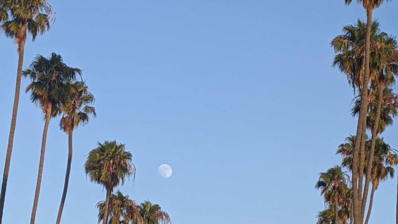 Euclid Park - Santa Monica, CA