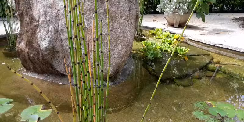 Holbrook Park (Formerly Goose Egg Park) - Santa Monica, CA