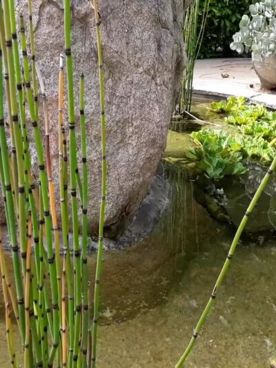 Holbrook Park (Formerly Goose Egg Park) - Santa Monica, CA