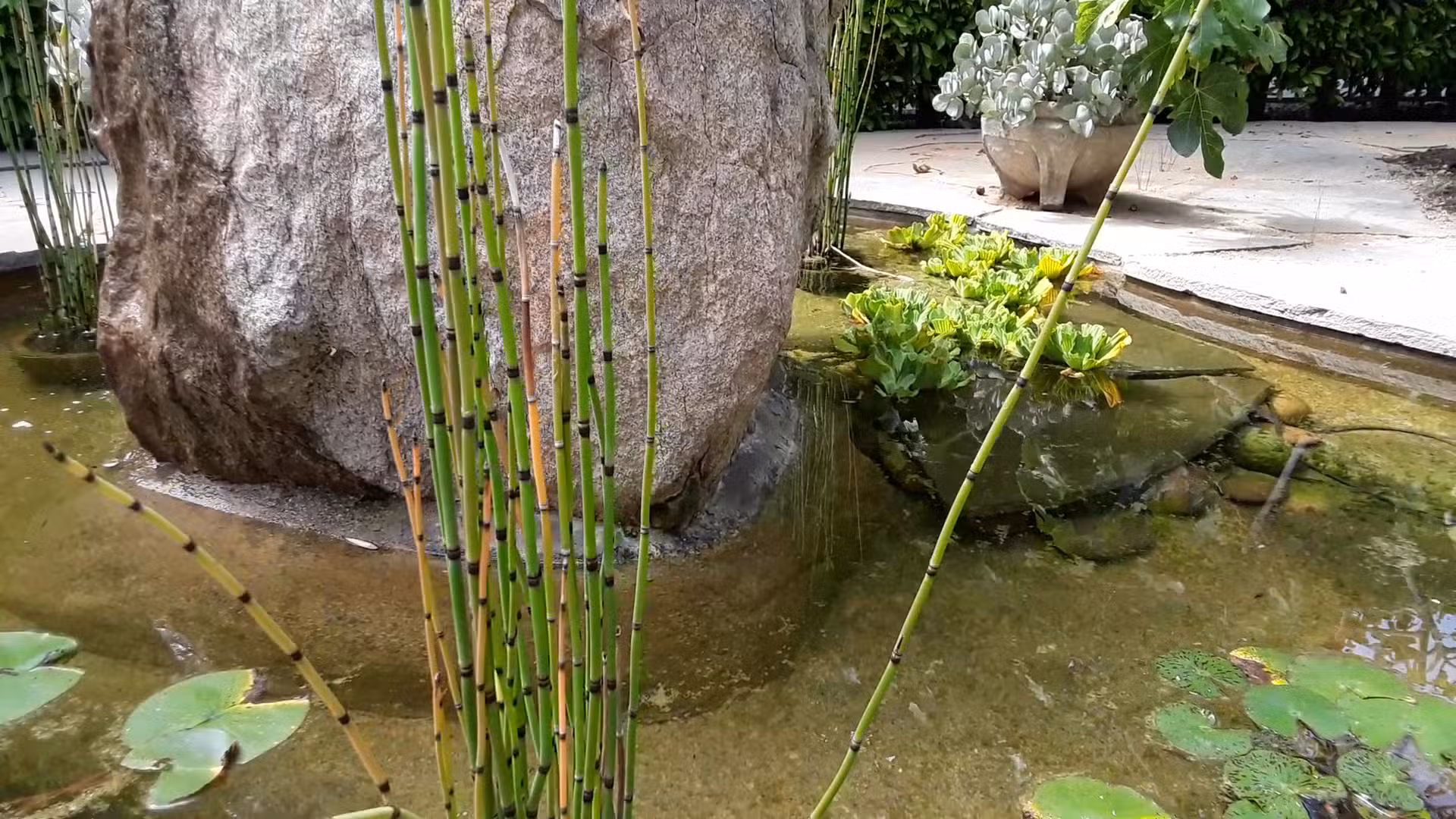 Holbrook Park (Formerly Goose Egg Park) - Santa Monica, CA