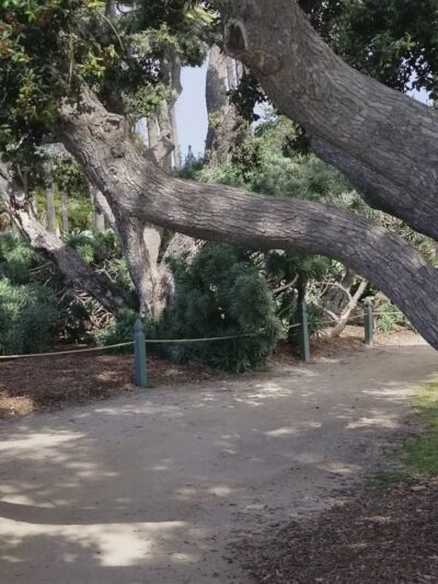 Palisades Park - Santa Monica, CA