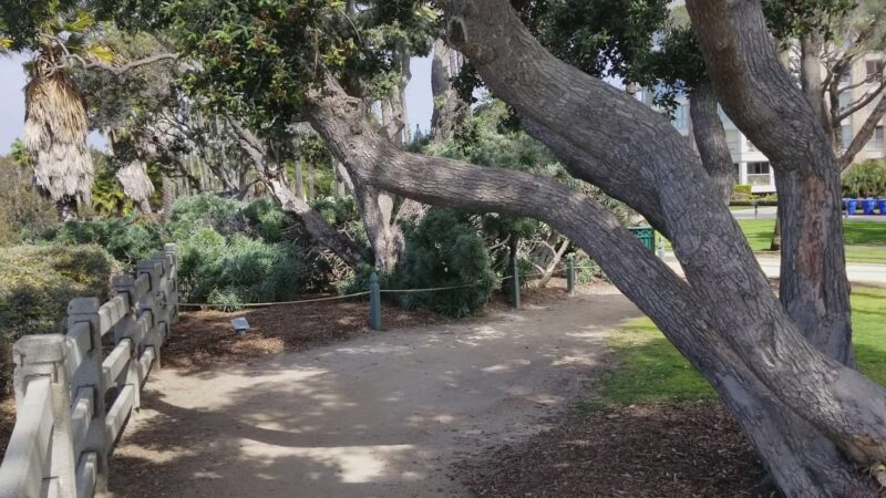 Palisades Park - Santa Monica, CA