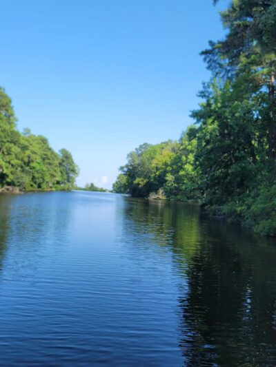 Santee State Park - Santee, SC
