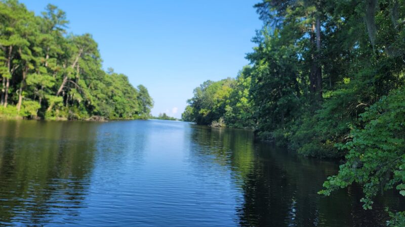 Santee State Park - Santee, SC