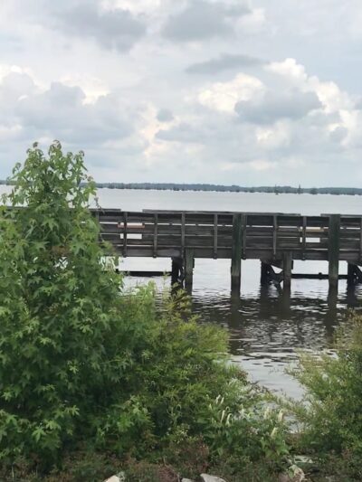 Santee State Park - Santee, SC