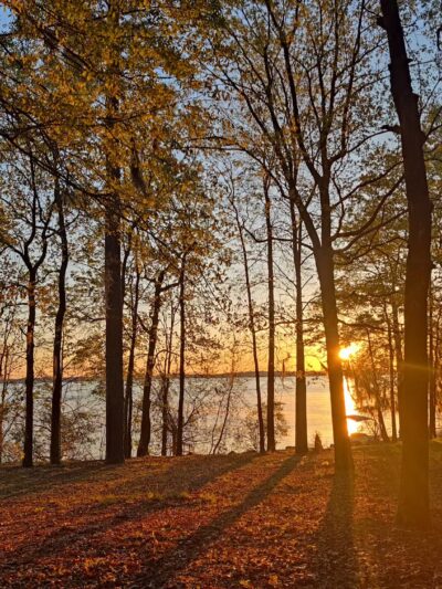 Santee State Park - Santee, SC