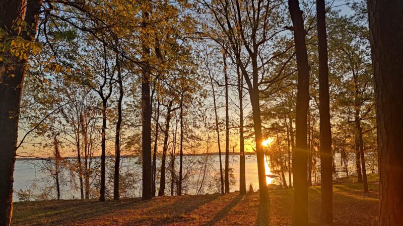 Santee State Park - Santee, SC