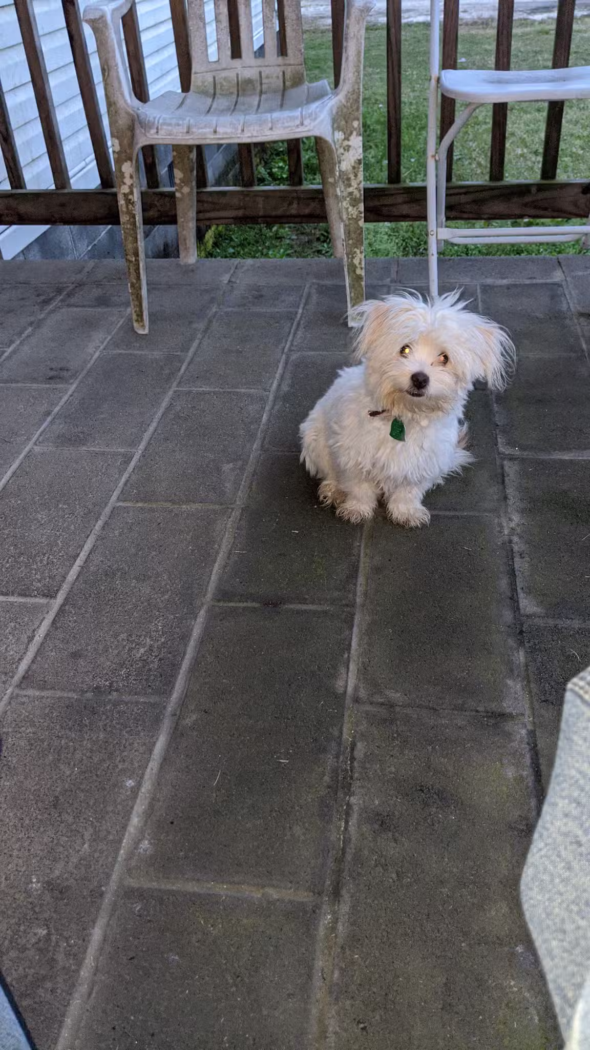 The Canine Country Club - Santee, SC