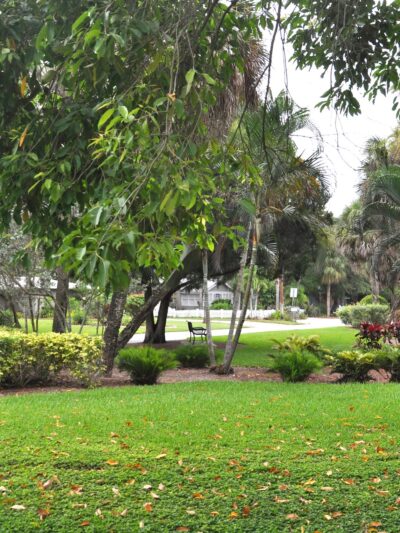 Galvin Park - Sarasota, FL