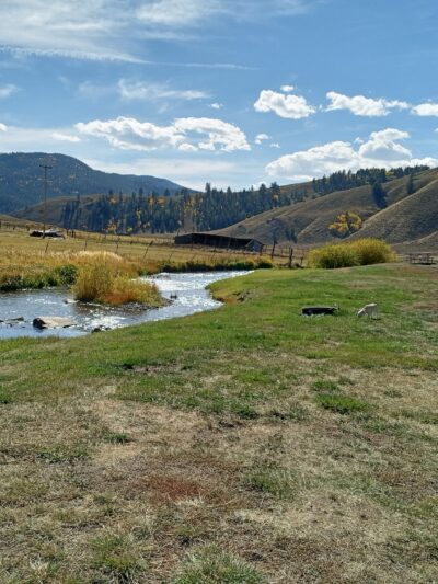 Tomichi Creek Trading Post - Sargents, CO