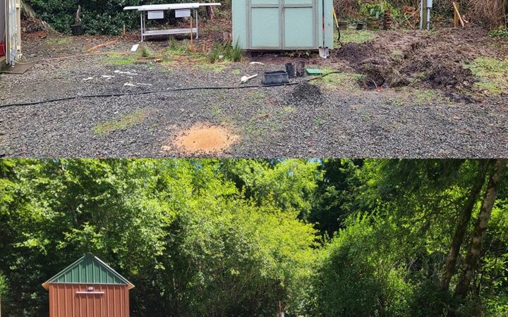 Sasquatch Handyman - ,