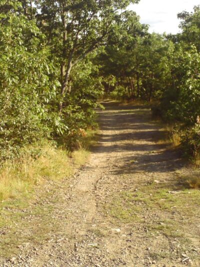 Mount Marion Point - Saugerties, NY