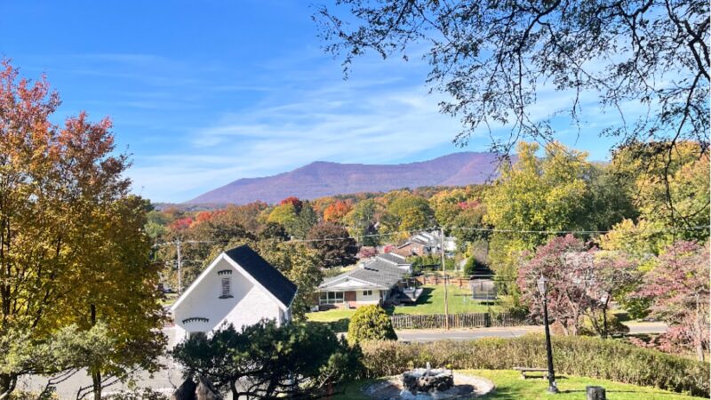 Seamon Park - Saugerties, NY
