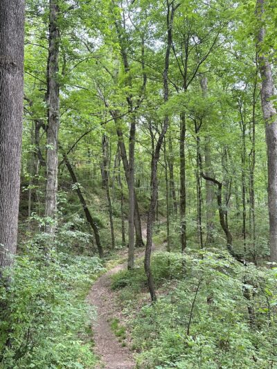 Spring Valley Park - Saxonburg, PA